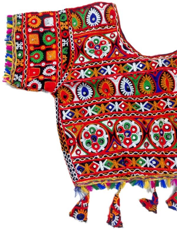 Deep Purple and Multi-Colour Gujarati Border Set - Image 4
