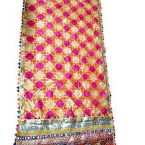 Elegant Semi Circle Gujarati Embroidery Border Dupattas