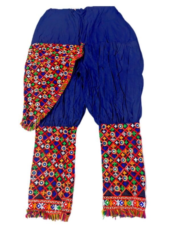 Multi-Colour / Blue Kedias With Side Dupatta Attached - Image 4