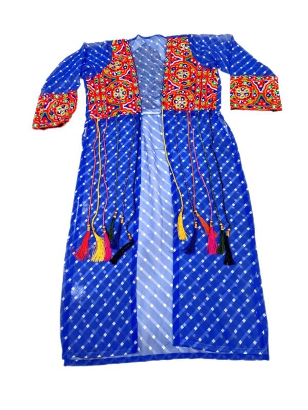 Long Jacket with Gujarati Embroidery - Image 3