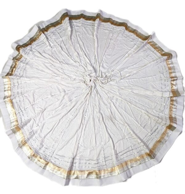 Golden Bordered Lehengas - Image 7