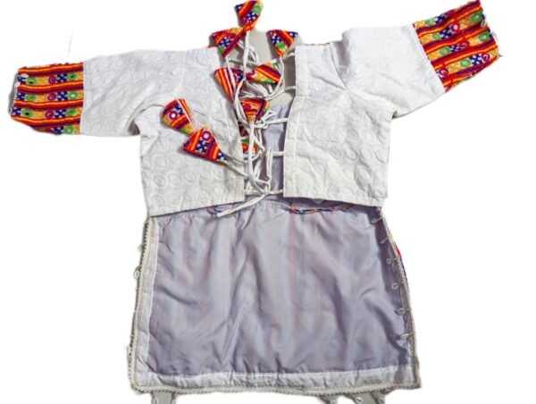 Authentic Fully Covered Gujarati Embroidery Long Blouses - Image 6