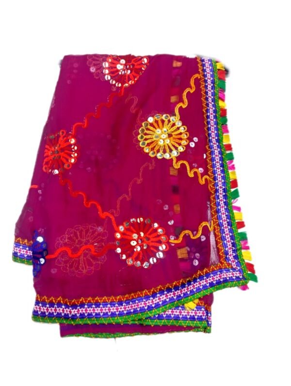 Blue, Red, and Pink Dupattas - Image 4