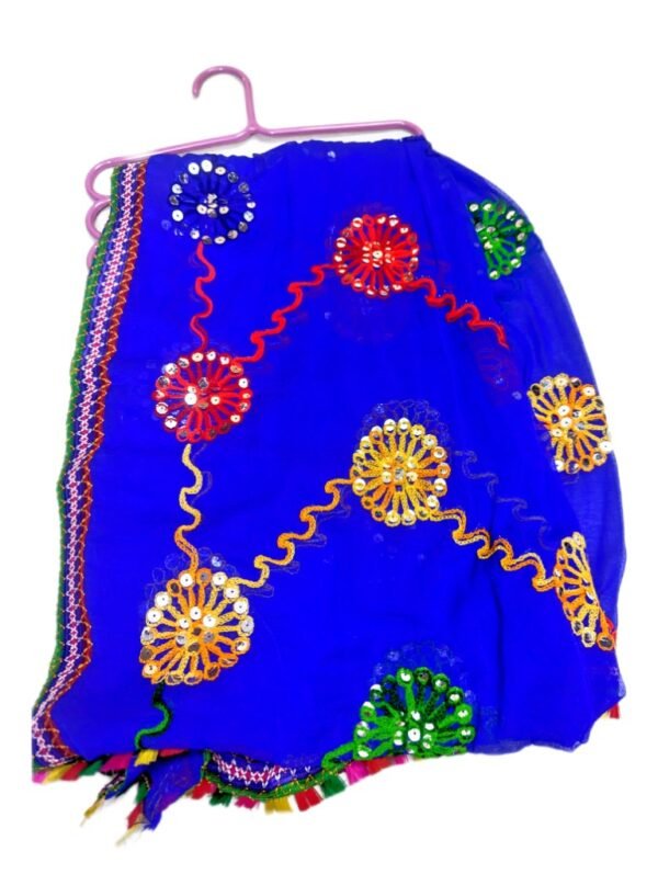 Blue, Red, and Pink Dupattas
